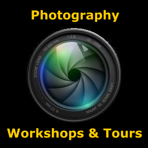 Photography workshops and tours